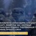 Катування і грабіж – це не війна, це мародерство: Кравченко заявив про викриття злочинів командира взводу "Ахмат" на Херсонщині