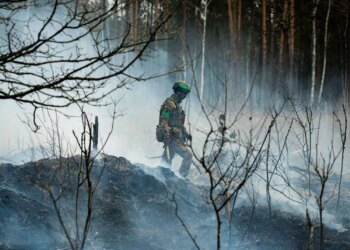 129 бойових зіткнень на фронті: ворог зазнає нищівних втрат на Покровському напрямку – Генштаб