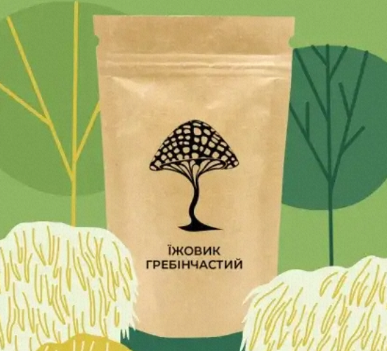 Ежовик гребенчатый – рекомендации к употреблению