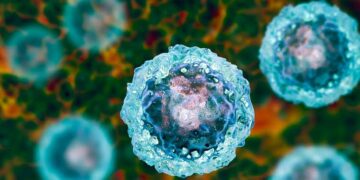 Регенеративна медицина сьогодні: які захворювання лікують із застосуванням стовбурових клітин