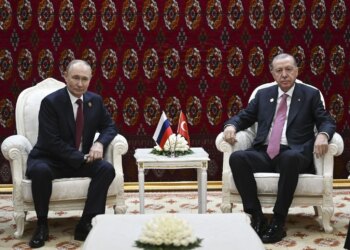 Ердоган закликав до обмеженого перемир'я між Україною та рф для енергетики та портів