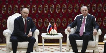 Ердоган закликав до обмеженого перемир'я між Україною та рф для енергетики та портів