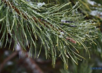 В Україні завтра очікується мороз до –8° та мокрий сніг з дощем