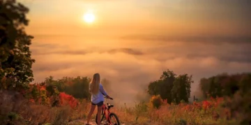 Горный велосипед: как выбрать идеальную модель и где купить выгодно