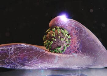 Зображення високої роздільної здатності показує, як вірус грипу вражає клітини