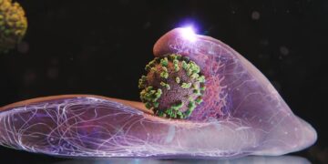 Зображення високої роздільної здатності показує, як вірус грипу вражає клітини