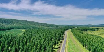 Озеленення Китаю порушило його водний цикл