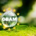 CBAM може завдати Україні мільярдних збитків уже в найближчі роки, – Зінченко