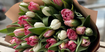 Тюльпани до 14 лютого: ніжна альтернатива класичним подарункам у Дніпрі