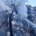 Масштабна пожежа у Києві: двоє людей загинули (фото)