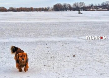 В Україні хмарно, сніжитиме: погода на 10 січня