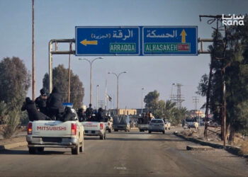 Курдські військові формування відступають. Сирійська армія вже у Хасеке – Том Купер