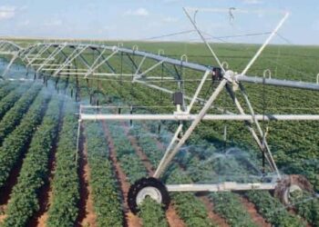 Прокудін: Є міжнародні партнери, які готові розвивати зрошення на Херсонщині