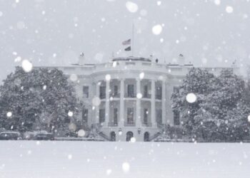 Штати виходять із 66 міжнародних організацій – Білий дім