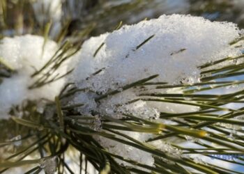 На Водохреще в Україні очікується сніг, у деяких областях – із дощем