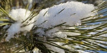 На Водохреще в Україні очікується сніг, у деяких областях – із дощем