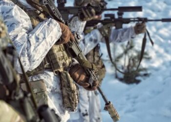 На Придніпровському напрямку Сили оборони відбили штурм острова Круглик