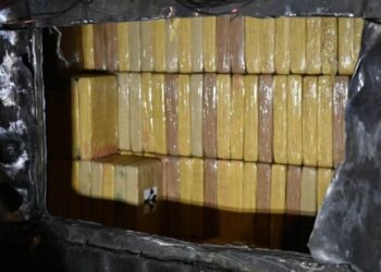 У порту Роттердама виявили майже 5 тонн кокаїну з Еквадору