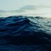 Темрява з глибин: як «darkwaves» змінюють життя на морському дні