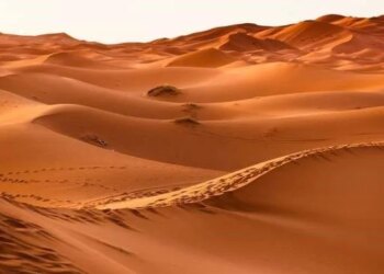 Вчені знайшли мумії віком 7000 років, які не мають спільної ДНК з ДНК сучасних людей