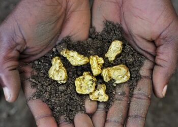 Науковці підтвердили існування одного з найбільших золотих родовищ століття