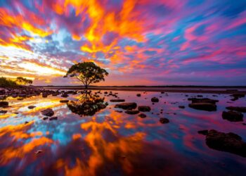 Вчені виявили першу гілку еволюційного Дерева життя