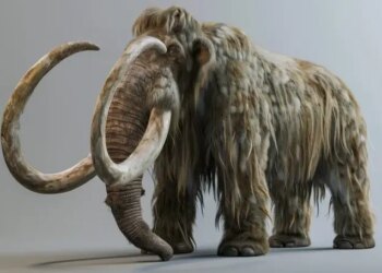Чому зникли мамонти: вчені знайшли несподівану причину їхнього вимирання
