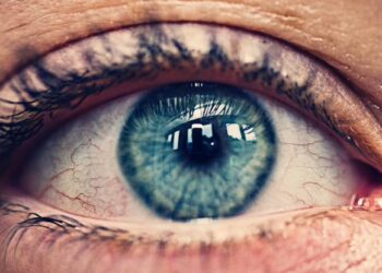 Прорив у медицині: вчені знайшли спосіб відновлення зору