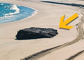 Потужні шторми розкрили таємницю мореплавства XIX століття на узбережжі Нью-Джерсі