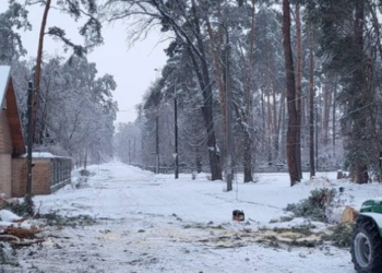 Екологічне лихо на Київщині: негода повалила дерева й пошкодила енергооб’єкти, – ФОТО