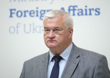 РФ сформувала тіньовий зерновий флот, який викрав мільйони тон зерна з України, – Сибіга
