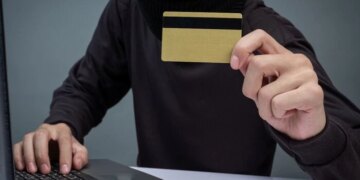 Голова Держаудитслужби «піймала» кібершахраїв і здала поліції