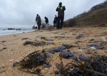 У Криму зафіксовано забруднення узбережжя мазутом