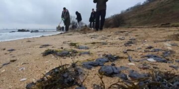 У Криму зафіксовано забруднення узбережжя мазутом