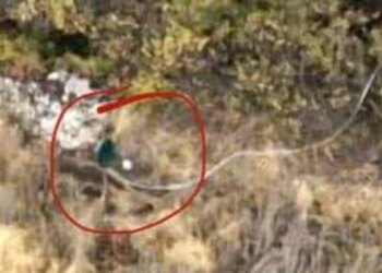 Окупанти терміново постачають на фронт супутниковий Інтернет для заміни Starlink – "Флеш"