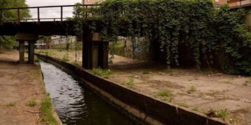 Суд остаточно зобов’язав знести незаконні автомийку та шиномонтаж на березі річки Либідь у Києві