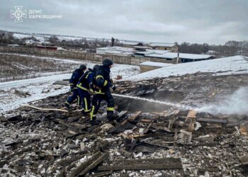 Ворог атакував ферму на Харківщині: загинуло 100 свиней, постраждав чоловік