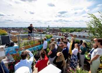 Британці знайшли оригінальне рішення, щоб не вигорати на роботі