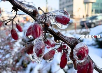 В Україні мокрий сніг та дощ: погода на 23 лютого