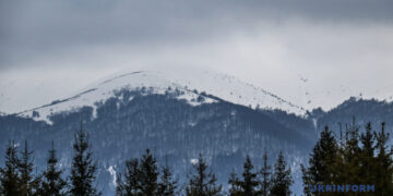 Податкові надходження від туристичної галузі торік зросли на 50% – ДАРТ