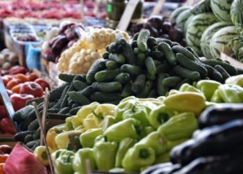 Виробництво сільгосппродукції в Україні зросло у січні на 3,2% – Держстат
