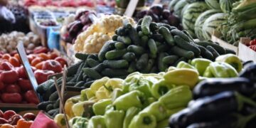 Виробництво сільгосппродукції в Україні зросло у січні на 3,2% – Держстат