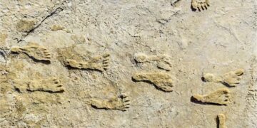 У Нью-Мексико знайшли сліди людей з льодовикової епохи