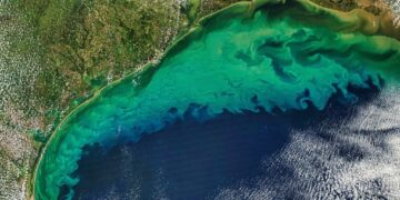 Кисень міг стати рушієм перших кроків складного життя на Землі