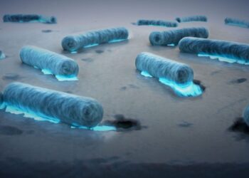 Вчені ставлять під сумнів масштабне очищення океанів від пластику