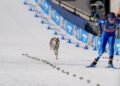 На Олімпіаді в Італії лижниці злякалися собаки, яка вибігла на трасу