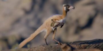 Знайдено один із найменших динозаврів Південної Америки