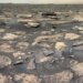 NASA знайшло органічні сполуки на Марсі