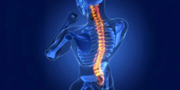 Вчені знайшли клітини, які допомагають відновити спинний мозок