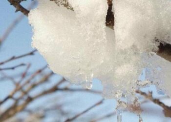 Прогноз погоди у Києві на 17 лютого: холодний, але без опадів день